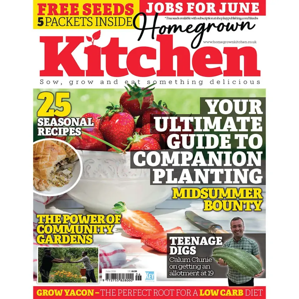 Homegrown Kitchen tidning juni 2026 odling