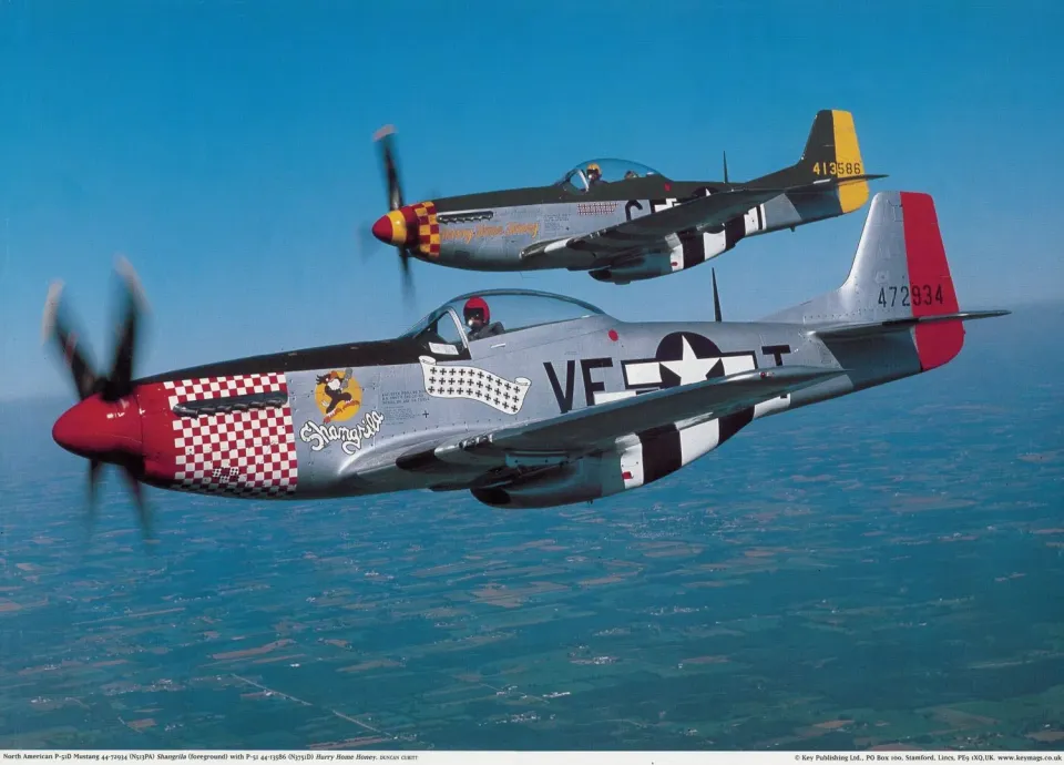 Aviation Archive Mustang P-51D poster A2 flygplan