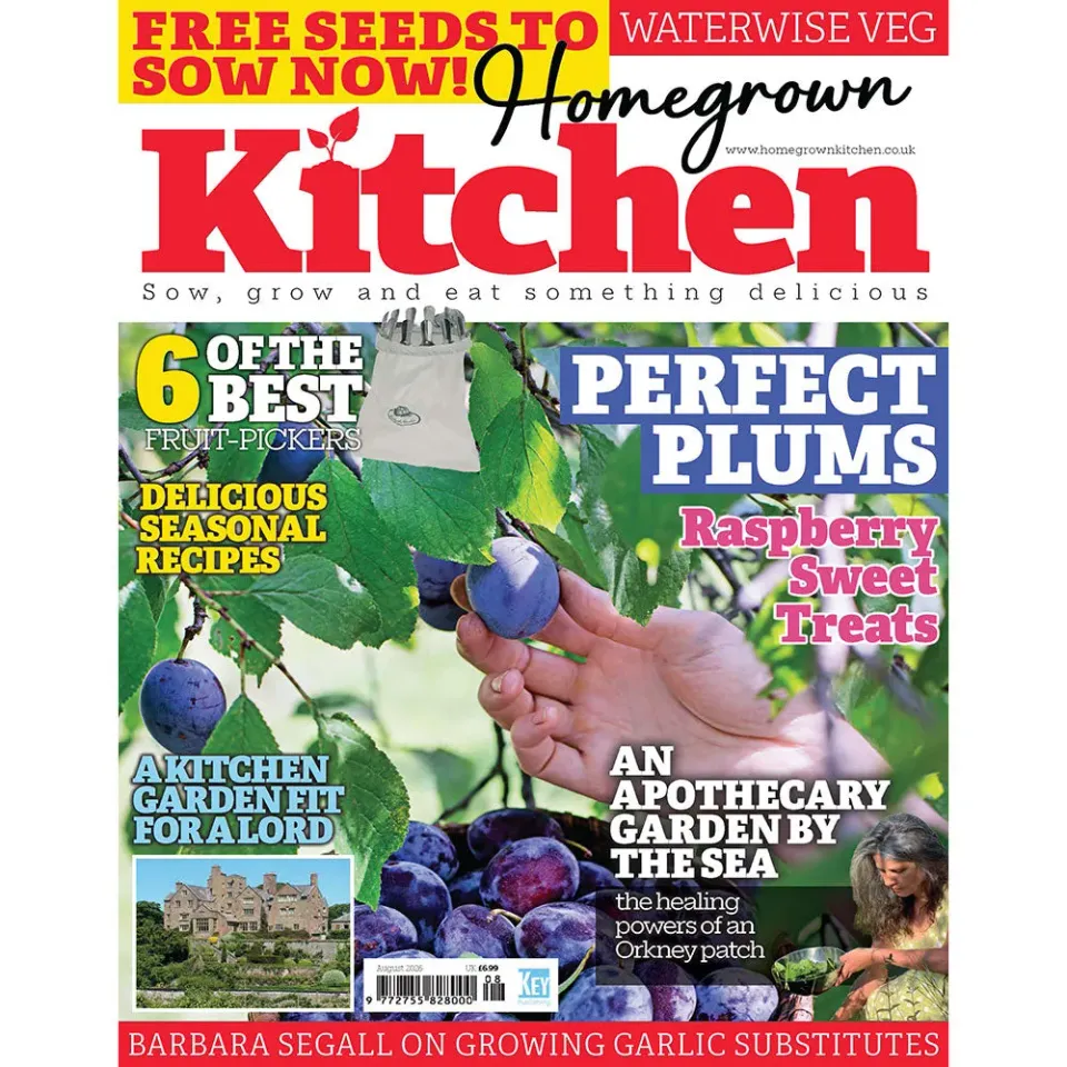 Homegrown Kitchen tidning augusti 2026 recept