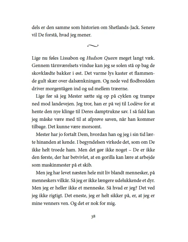 ABC Forlag Den falske rose e-bok roman digital utgåva