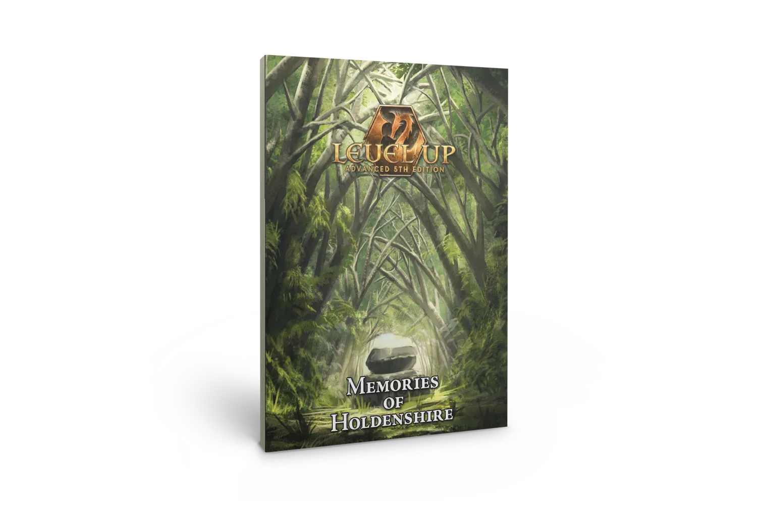 EN Publishing Level Up Memories of Holdenshire äventyr mjukpärm+PDF nivå 1