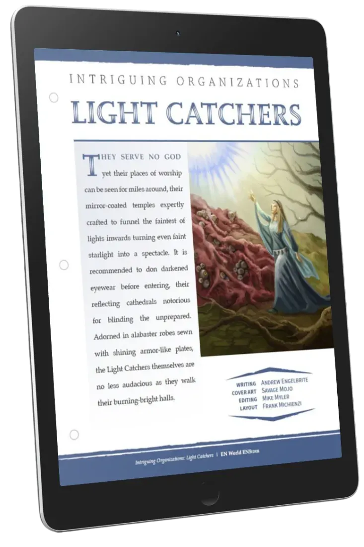 EN Publishing Light Catchers organisation PDF ljus