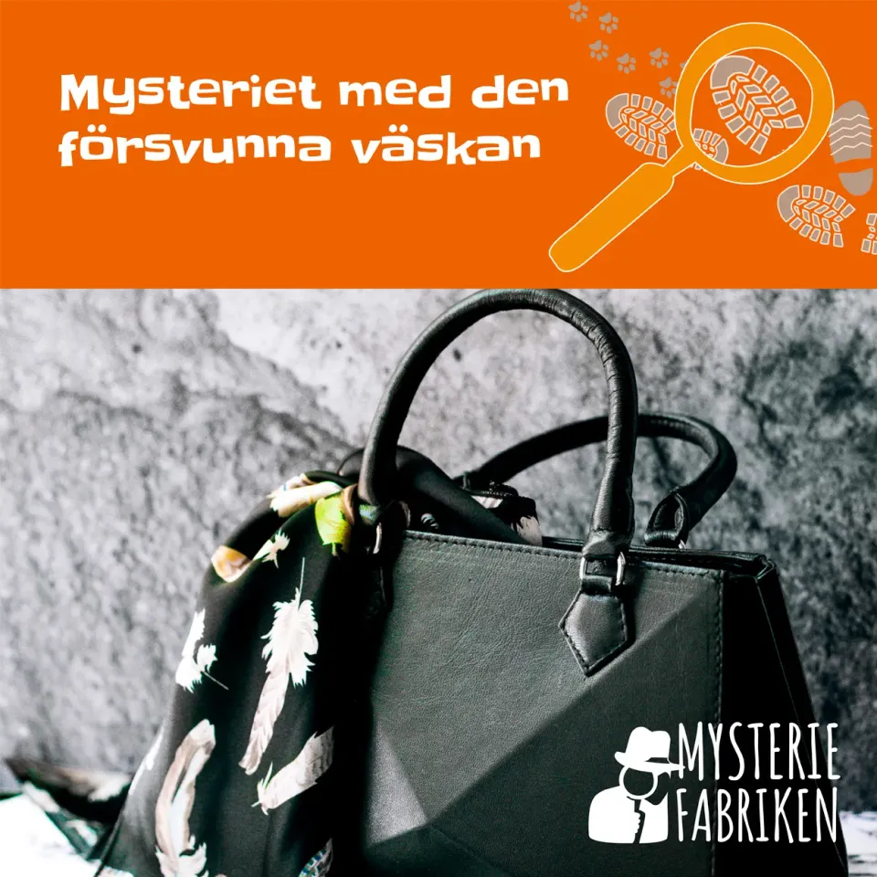 Mysteriefabriken Mysteriet med den försvunna väskan deckargåta 6-12 år