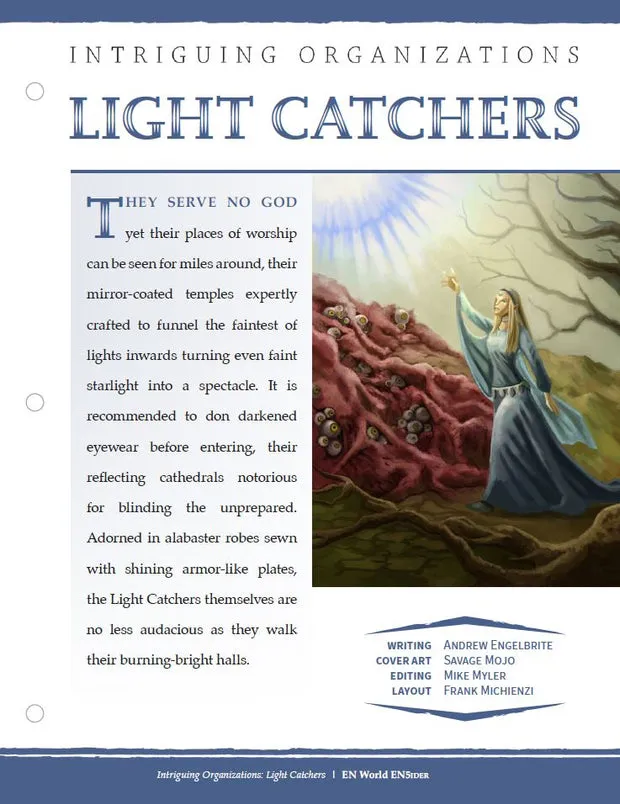 EN Publishing Light Catchers organisation PDF ljus